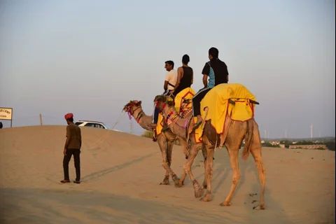 Camel safari Osian